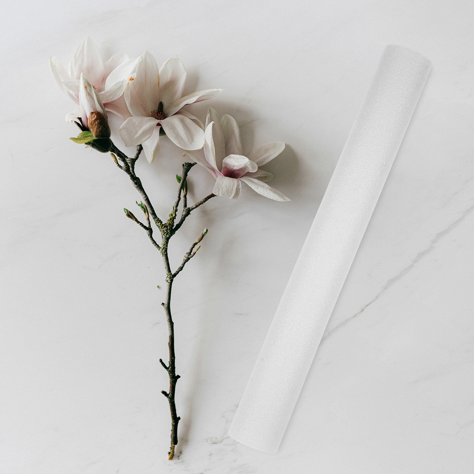 7Pcs Foam Rods 40Cm Floral Arr - đánh giá và giá Wedding Support